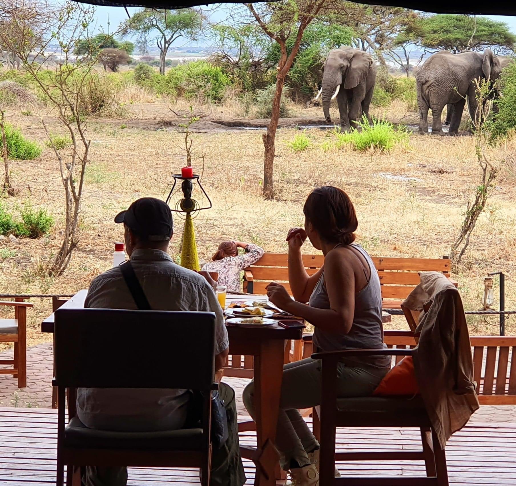 Tarangire-Simba-Lodge10