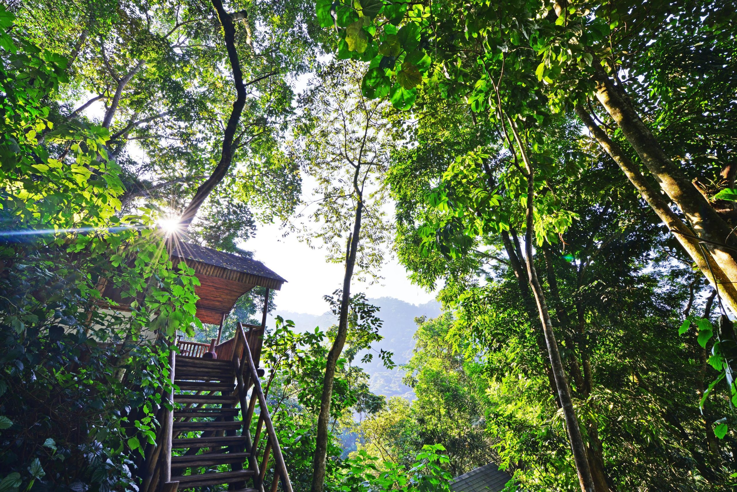 Buhoma Lodge High Up Room