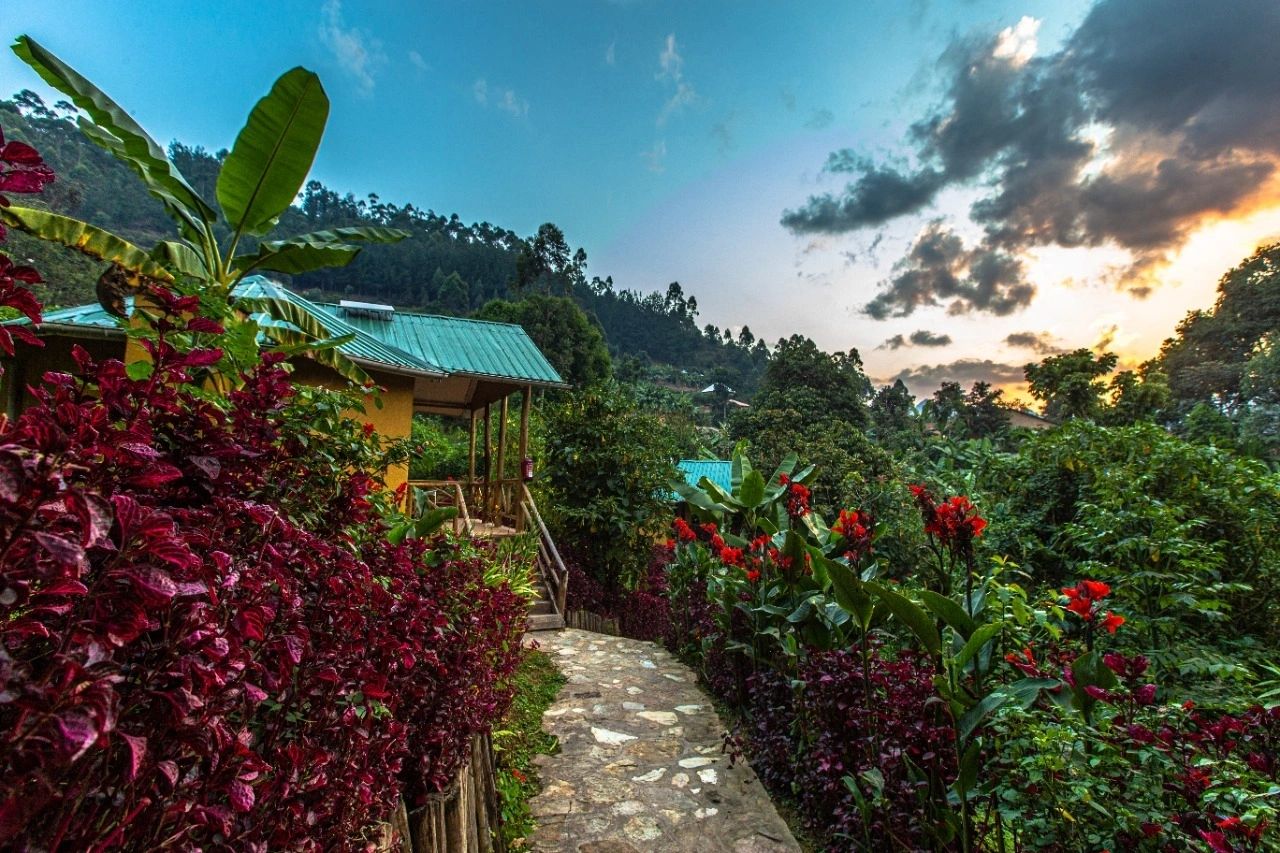 Gorilla Safari Lodge (Bwindi) (11)