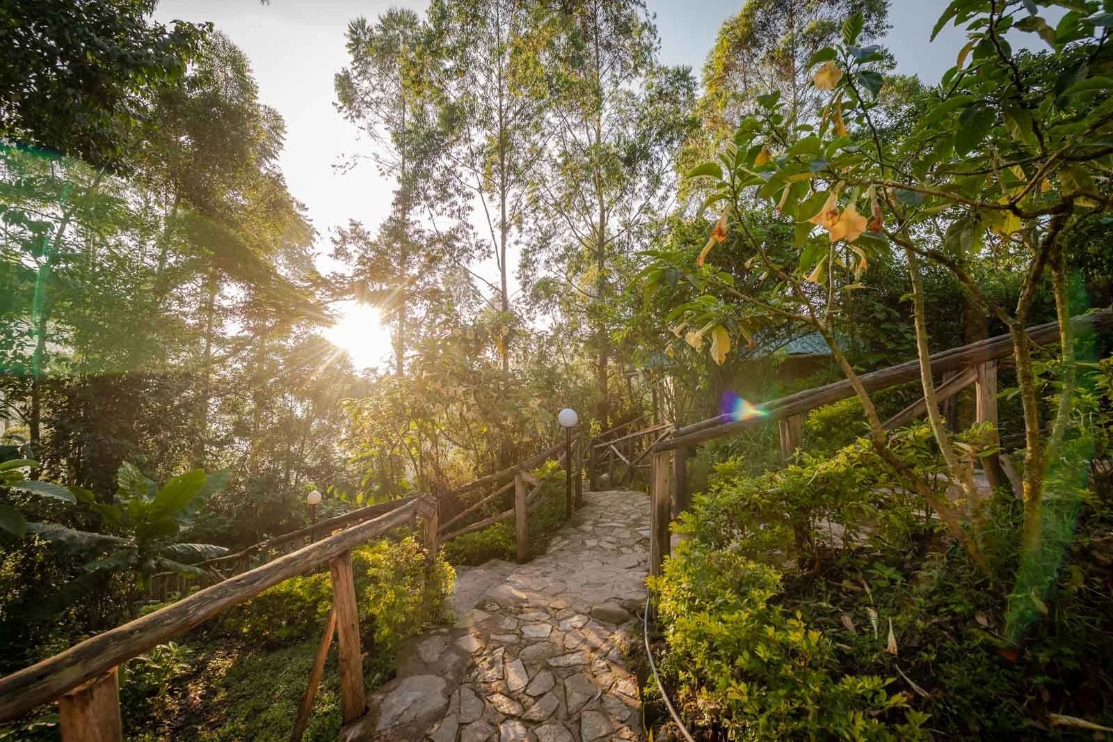 Gorilla Safari Lodge (Bwindi) (6)