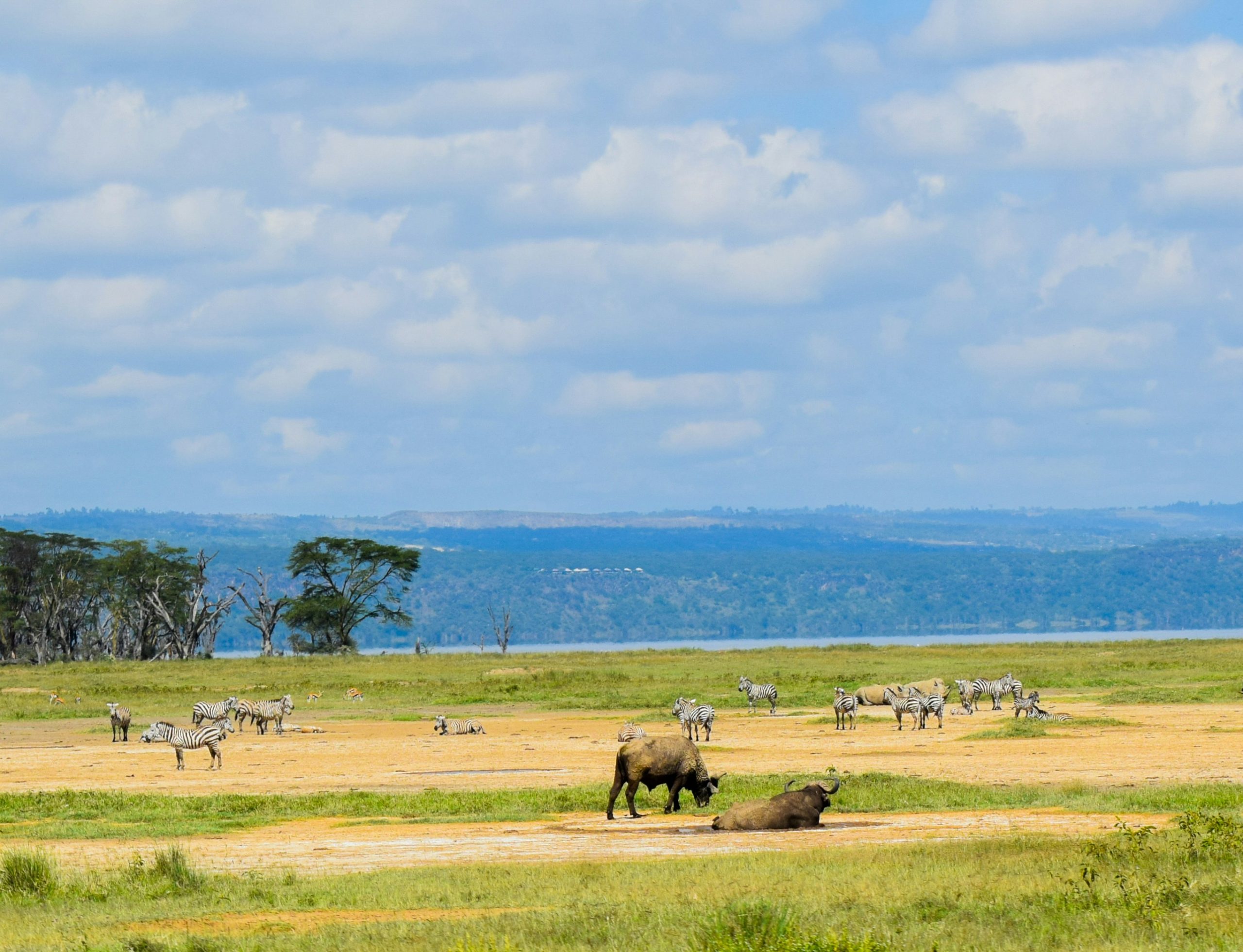 Lake Nakuru National Park (14)