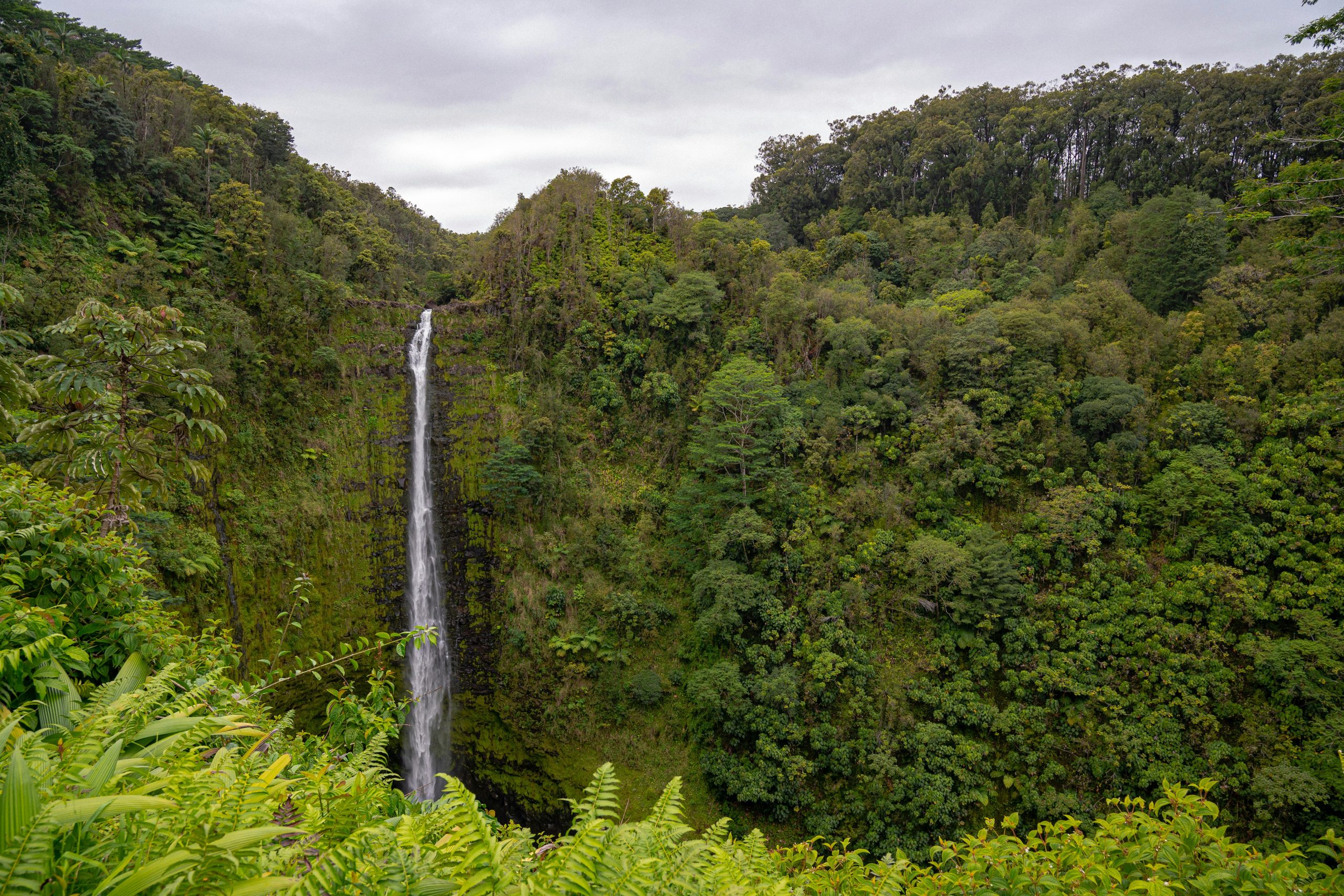 Volcanoes National Park (8)