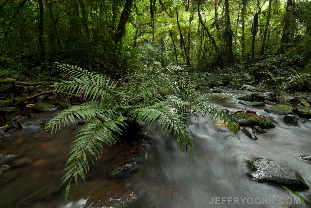 buhoma_lodge_jeffry_oonk_1