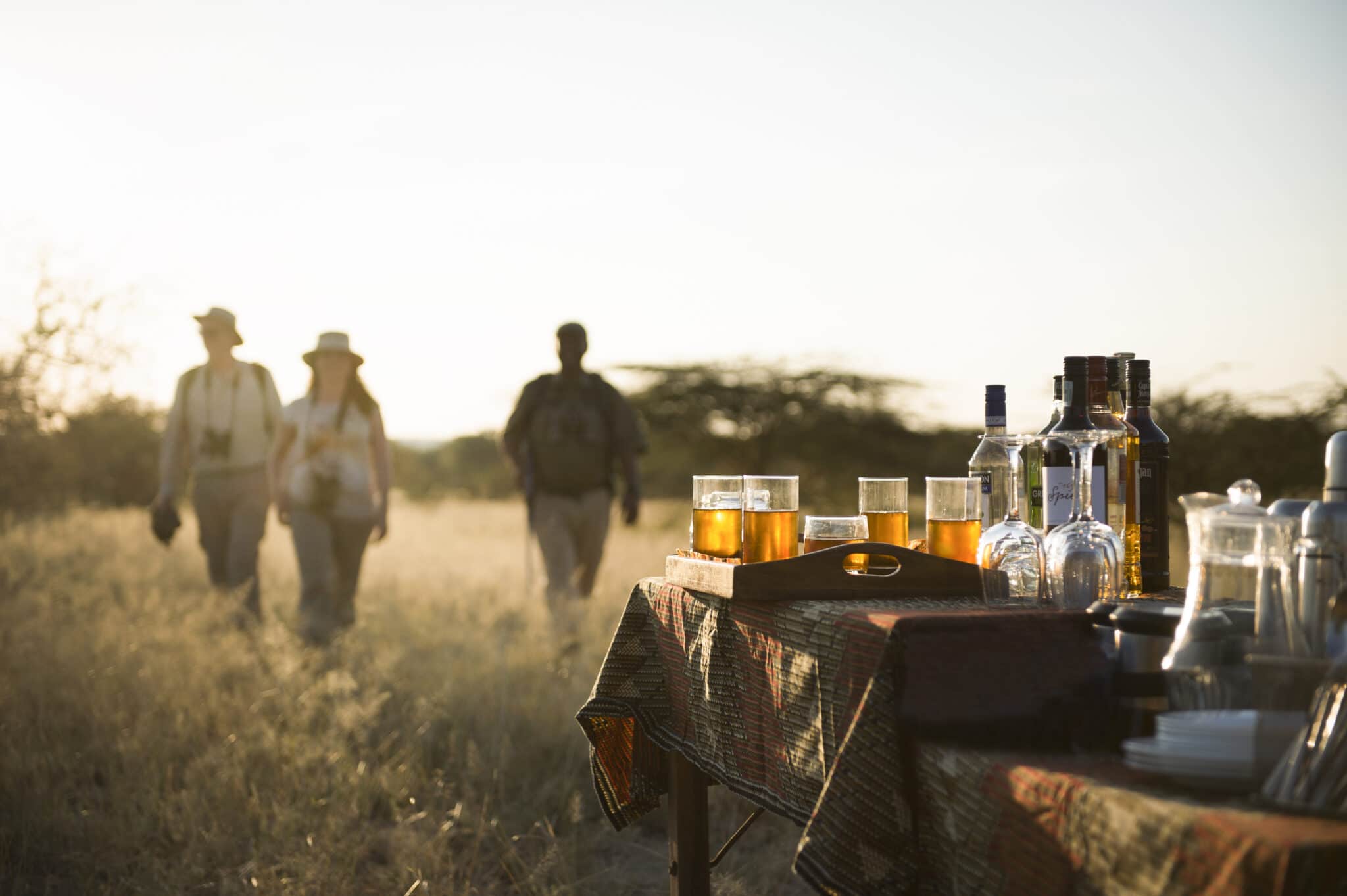 olivers-camp-tarangire-national-park-tanzania-safari-bush-walk-sundowners-scaled